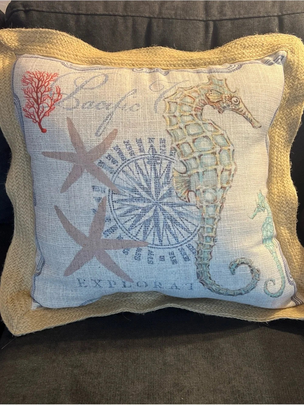 Coastal Seahorse Decorative Pillow - Beige & Aqua 20”x20” Rope Edge